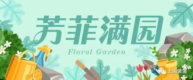 芳菲满园丨合欢花，寓意美好的吉祥之花