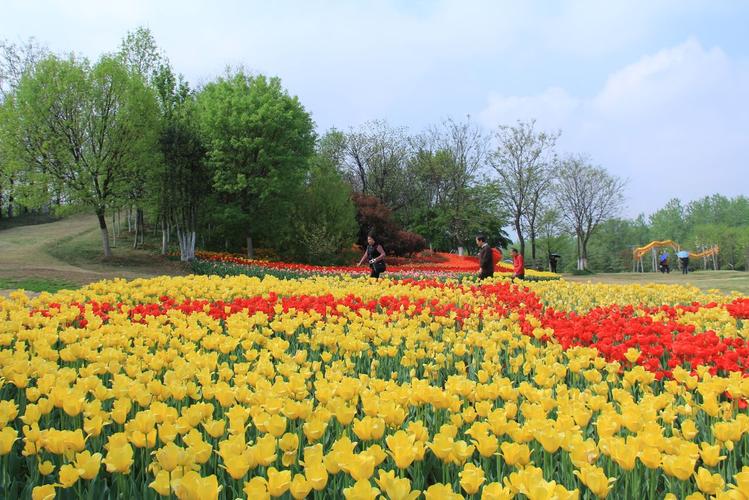 园艺植物基地(园艺植物病虫害防治)