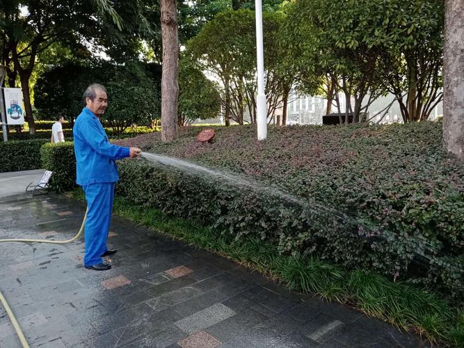 夏季园林植物浇水(夏季开花的园林植物