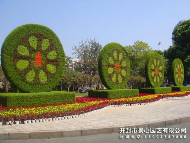 适合在花坛中的绿色植物(国庆花坛绿色植