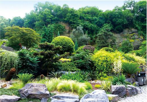 水生植物种植设计(水生植物种植浮床)