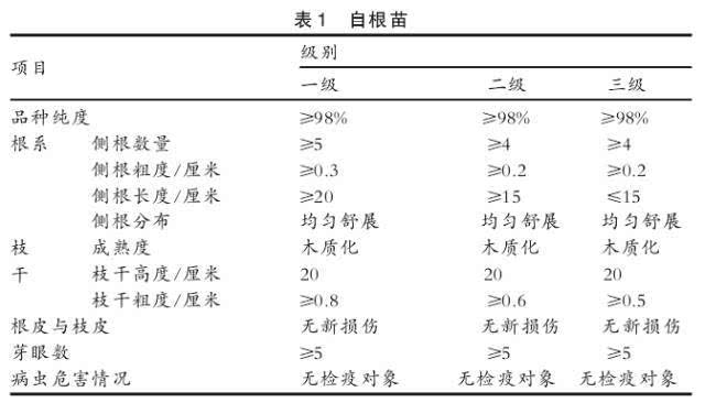 <strong>苗木求质量检验证书样本</strong>