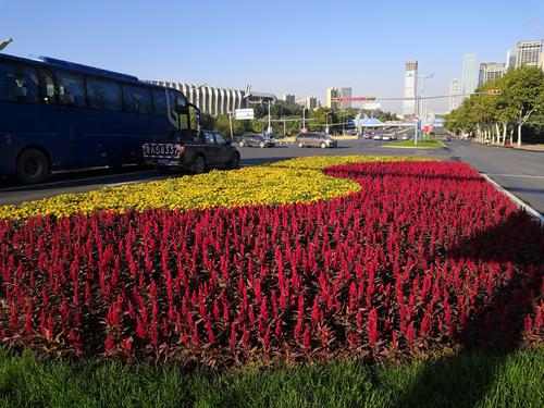 国展展览植物(今天天津国展有什么展览