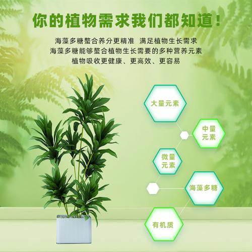 <strong>盆栽植物营养液配方(植物营养液配方类型</strong>