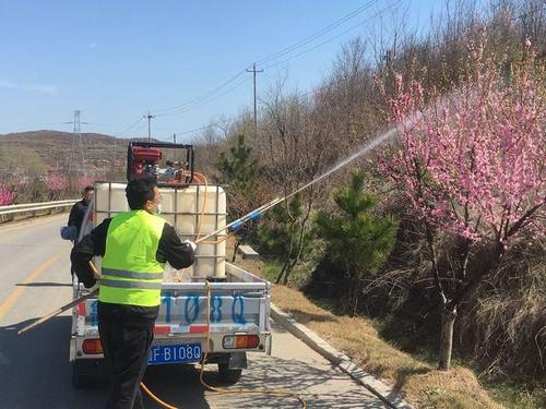 苗木基地怎么杀虫