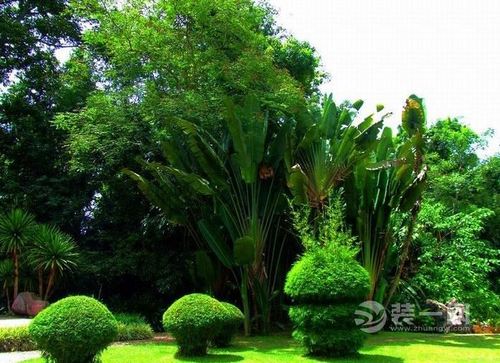 汉中室内绿色植物园(汉中汉山植物园要门