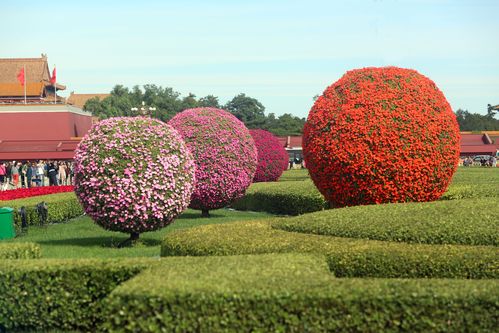 <strong>景观花卉植物(油画花卉植物)</strong>