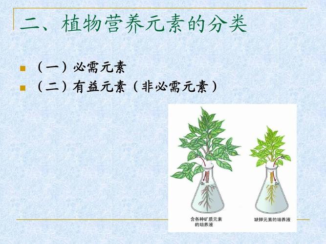 植物必须生长元素(植物生长所需的营养元素有哪