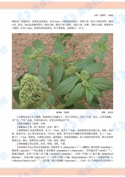 <b>药用植物的务名字(带刺的药用植物图片和名字</b>