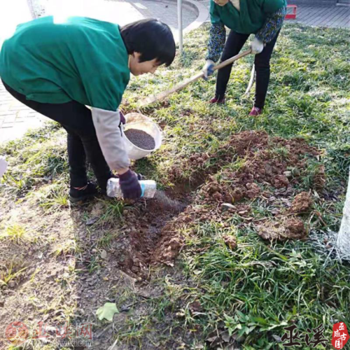 乔木植物施肥最佳时间(植物施肥的最佳季节)