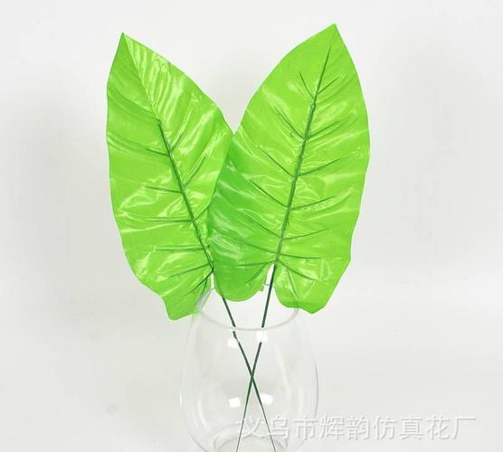 <b>植物叶子发白像纸(植物叶子发白缺什么)</b>