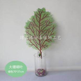 植物珊瑚怎么养护(冬天植物怎么养护)