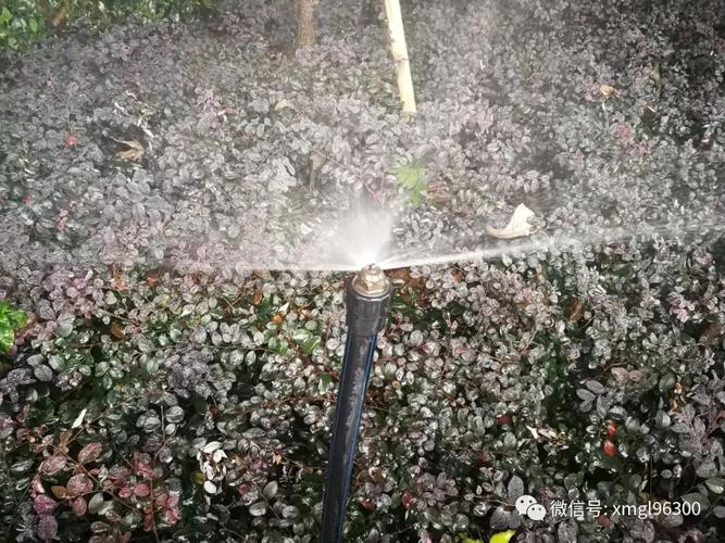 花卉苗木灌溉用水量(农业灌溉用水量怎么算)